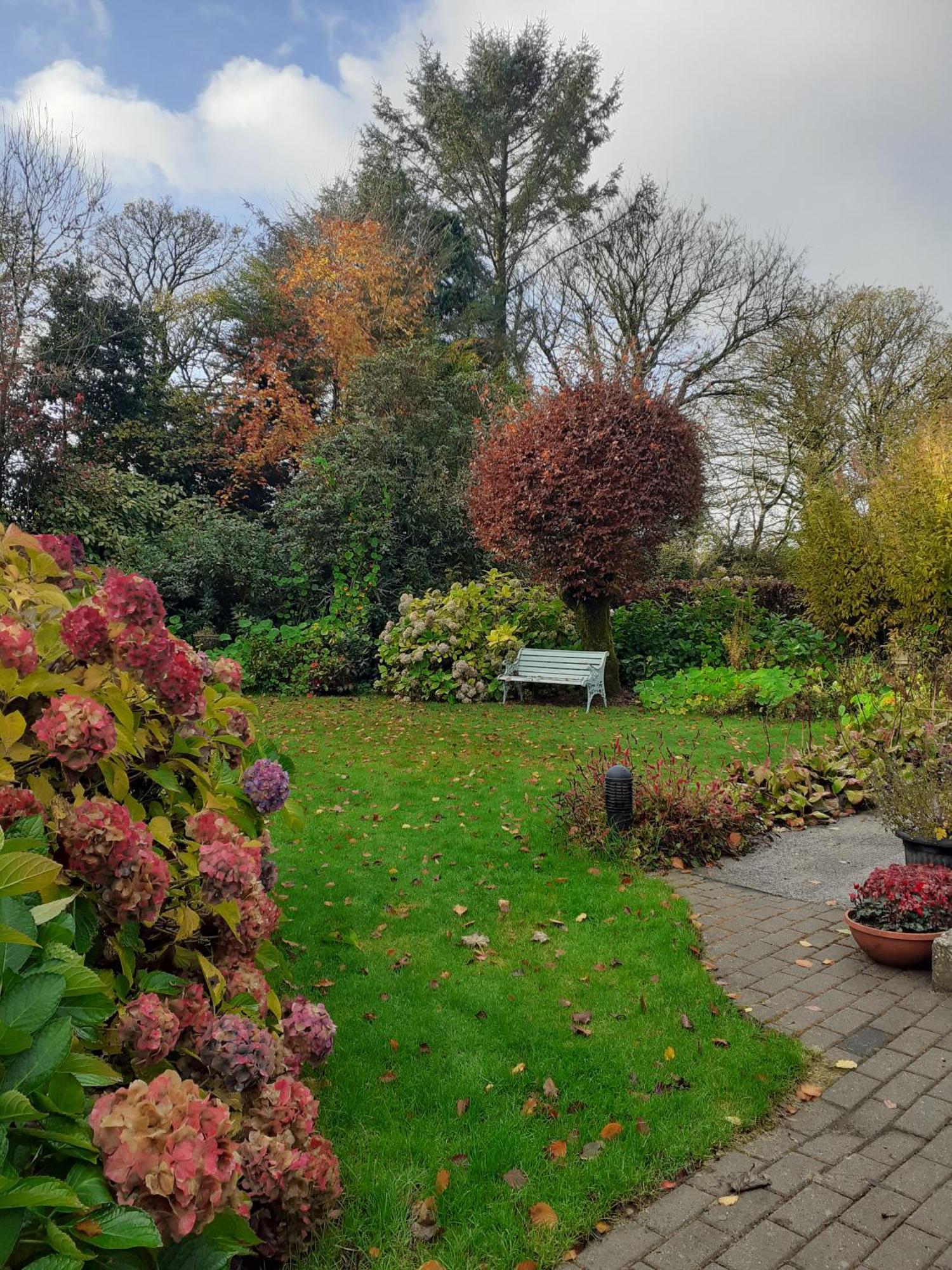 Conways B&B Claremorris Exterior foto