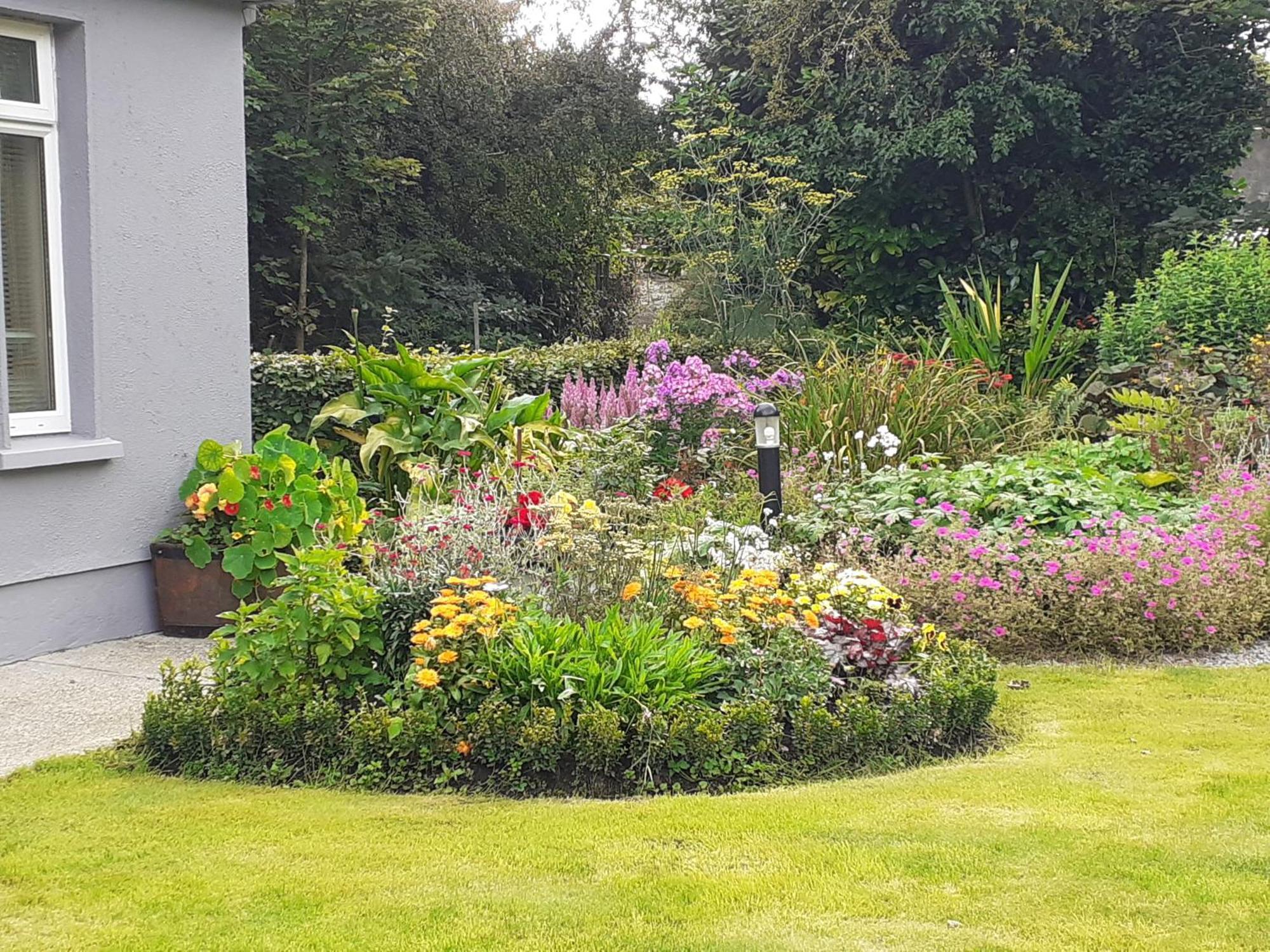 Conways B&B Claremorris Exterior foto