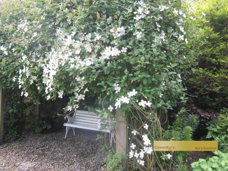 Conways B&B Claremorris Exterior foto