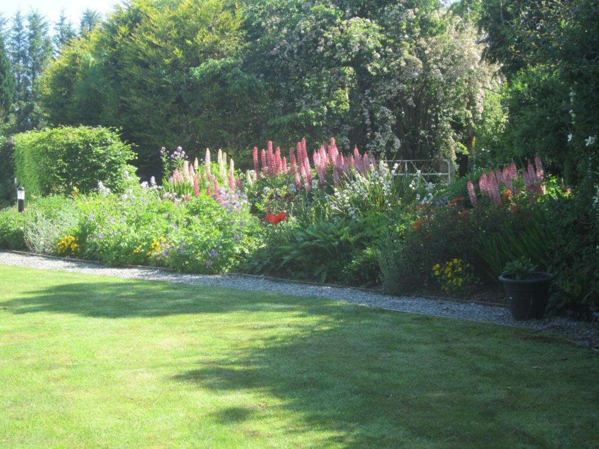 Conways B&B Claremorris Exterior foto